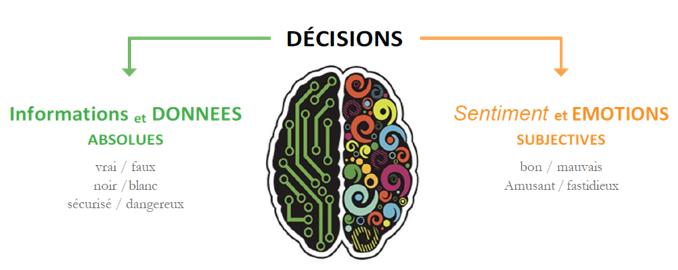 Perception des risques (BBS)
